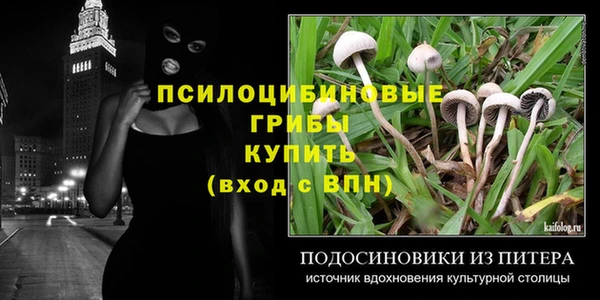 ALPHA PVP Аркадак