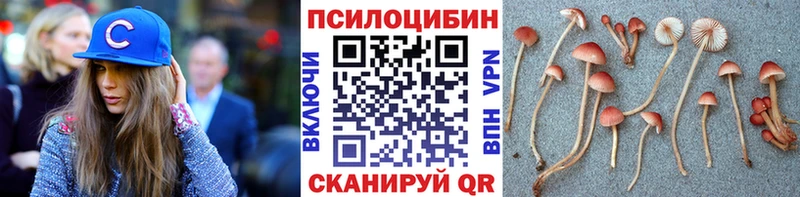 Псилоцибиновые грибы мицелий  как найти   Нефтегорск 
